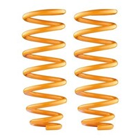 Rear Front Performance Coil Springs to suit Holden Trailblazer LT/LTZ and Colorado 7