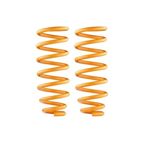 Rear Front Constant Load Coil Springs to suit Holden Trailblazer LT/LTZ and Colorado 7