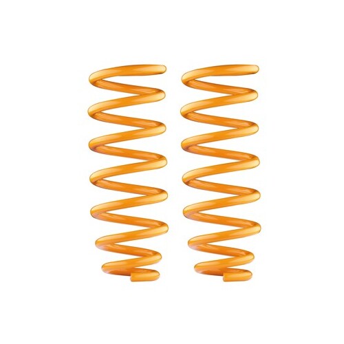Rear Constant Load Coil Springs to suit Landcruiser 200 Series